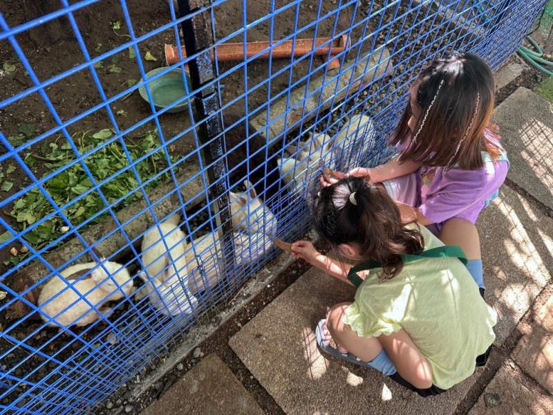 フィリピン留学 Cebu21 - Boracay Coco English-Kids-62